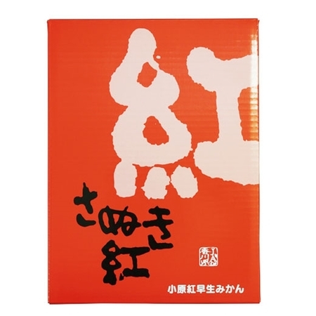 さぬき紅みかん２．５キロ　１１月中旬頃―１２月下旬頃お届け