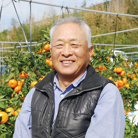 さぬき紅みかん２．５キロ　１１月中旬頃ー１２月下旬頃お届け