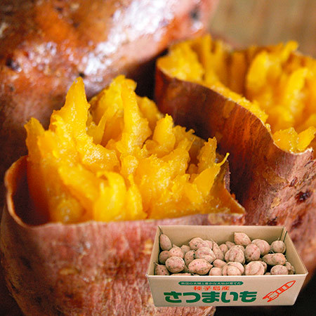 訳あり安納いも５キロ 小芋 １１月下旬頃より順次お届け 食品通販のベルーナグルメ 公式