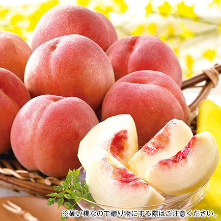 山形のパリパリ桃２キロ　８月中旬頃ー９月下旬頃お届け