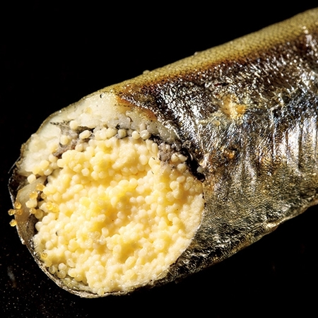 子持ち樺太（からふと）ししゃも５０尾