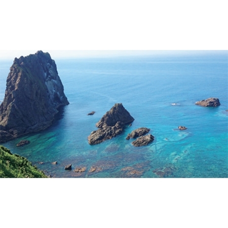 積丹産お刺身用ボタンえび２００ｇ