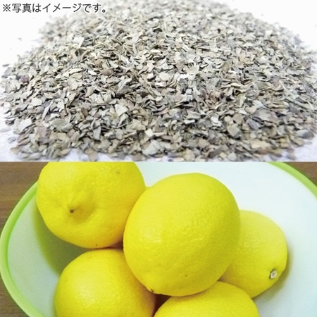 バジルとレモンが香るあらびきポークウィンナー