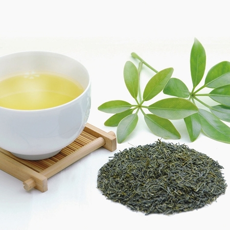 お茶のケーキセット