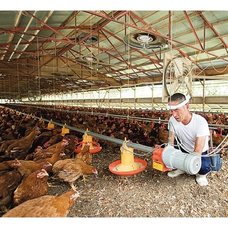 レンジで簡単♪みつせ鶏の大きなささみカツ