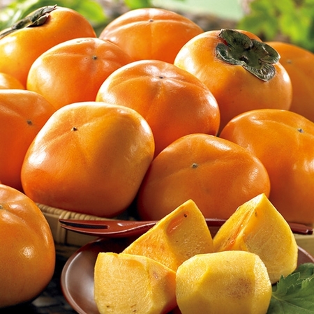 紀北の訳あり種無し柿　９月下旬頃―１０月下旬頃