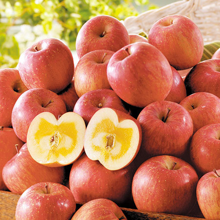 訳あり信州りんご５キロ １２月上旬お届け 食品通販のベルーナグルメ 公式