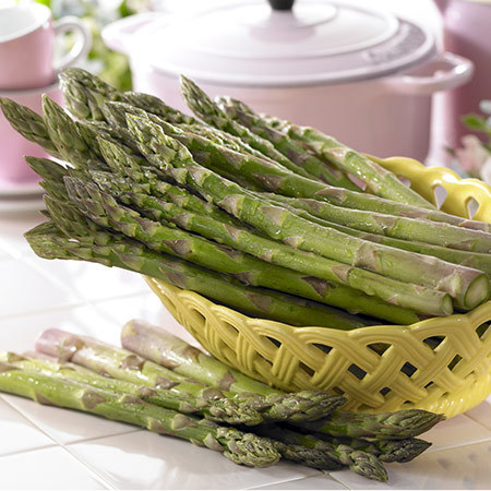 新発田のアスパラガス　６月下旬頃―８月上旬頃