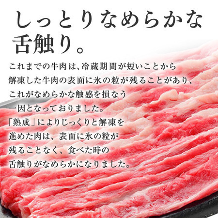 【3/31以降値上げ対象商品！】吉野家　牛丼の具２袋