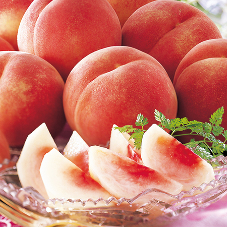 盆地育ちの山形白桃２キロ　８月上旬頃―９月上旬頃お届け