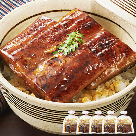 鹿児島県産うなぎ蒲焼（１０切）