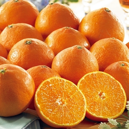 訳あり紅まどんな（大箱）　１２月上旬頃―１２月下旬頃