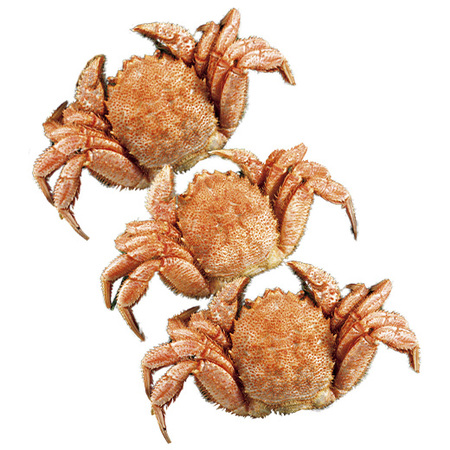 毛ガニ姿3杯 食品通販のベルーナグルメ 公式 毛ガニ姿3杯 食品通販のベルーナグルメ 公式