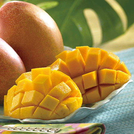 台湾産アップルマンゴー５キロ　６月上旬頃―７月上旬頃