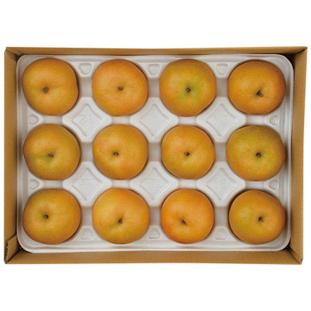 鳥取の新甘泉（しんかんせん）梨　９月上旬頃―９月下旬頃