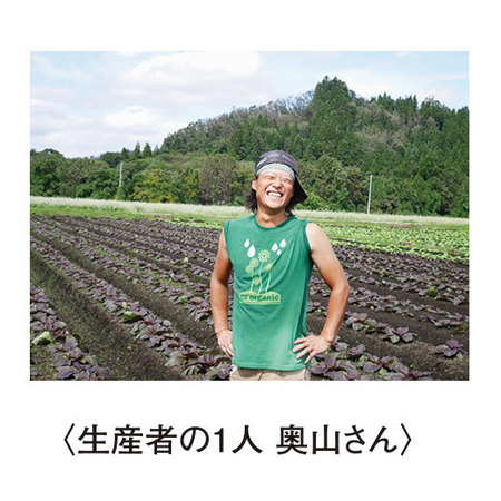 奥山さん達の金色羅皇スイカ　７月中旬頃ー８月中旬頃お届け