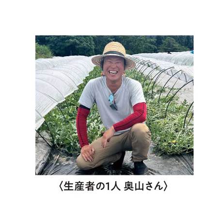 奥山さん達の金色羅皇スイカ　７月中旬頃ー８月中旬頃お届け