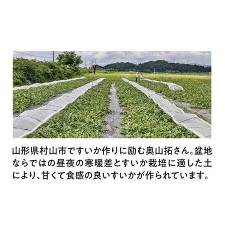 奥山さん達の種なしブラックジャックすいか　７月中旬頃ー８月中旬頃お届け