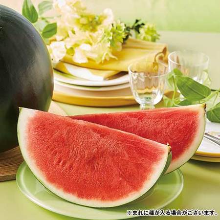 奥山さん達の種なしブラックジャックすいか　７月中旬頃ー８月中旬頃お届け