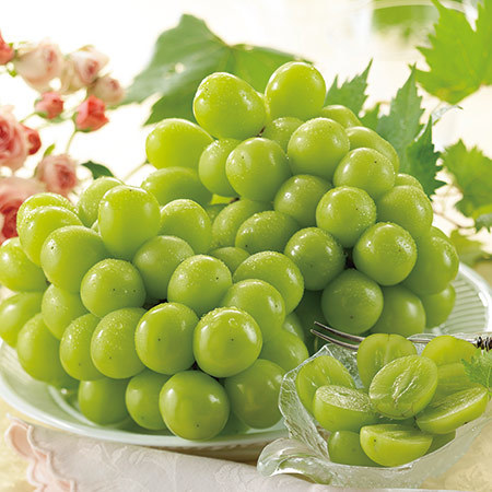 大きなシャインマスカット　１０月上旬頃―１０月中旬頃お届け