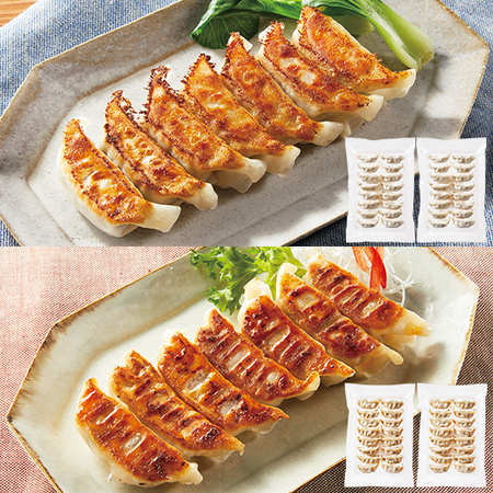 ≪ＷＥＢ限定★約３０％オフ≫熟成ポークの餃子コンビ