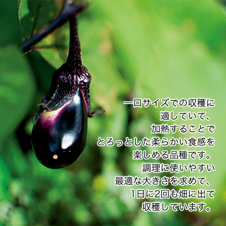 ひとくち茄子の海老詰め５袋