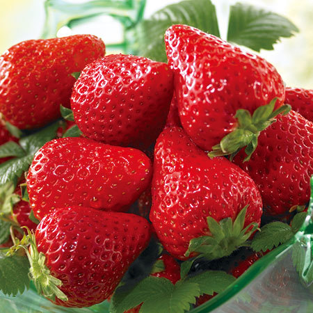 栃木県産　とちあいかいちご】