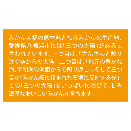 西宇和みかん大福　１２個