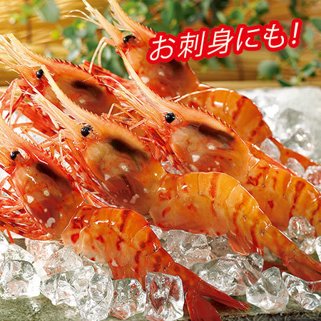 北海道産お刺身用ボタンえび　２００ｇ