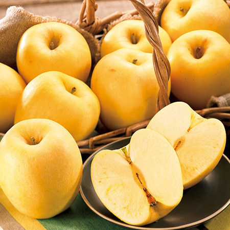 山形盆地のはるかりんご　１２月上旬頃ー１２月下旬頃お届け