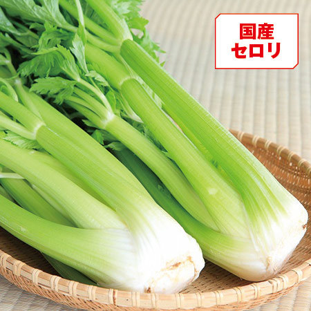 【早期】国産セロリのあっさり粕漬