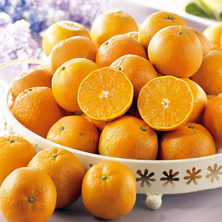 鹿児島のご家庭用タンカン５キロ　２０２６年３月上旬頃ー３月下旬頃お届け