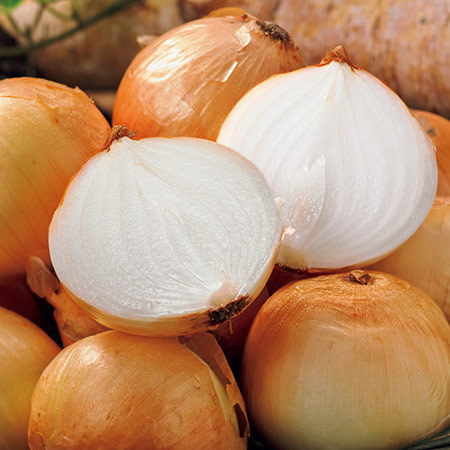 訳ありサラたまちゃん（大玉）　２３年４月下旬頃―５月下旬頃お届け