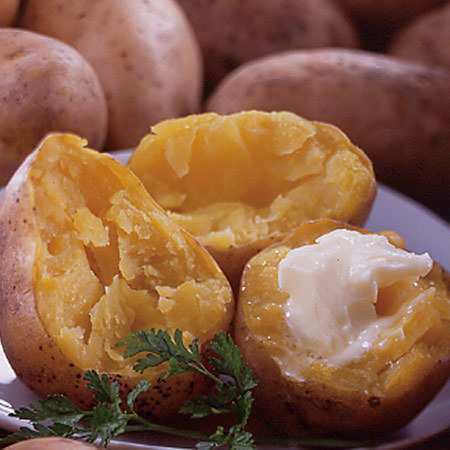 森浦さんのインカのめざめ　１１月中旬頃―１２月下旬頃お届け