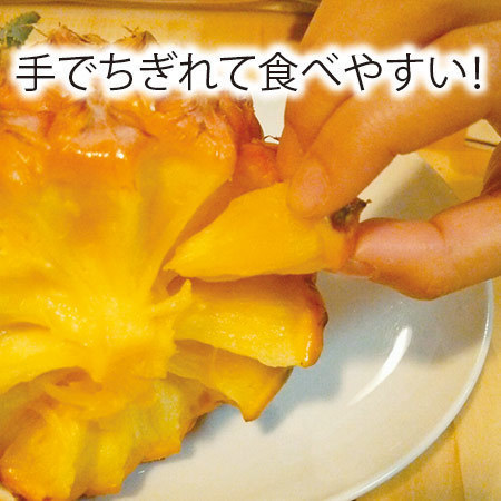沖縄のちぎれるパイン　２０２６年４月下旬頃ー６月上旬頃お届け