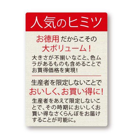 ≪早期割引★２１６円引き≫山形お徳用さくらんぼ佐藤錦１．２ｋｇ　２３年６月中旬頃―７月上旬頃お届け