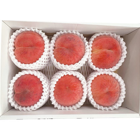 おどろき桃２キロ　２３年８月下旬頃―９月上旬頃お届け