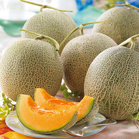 訳あり北海道赤肉メロン４キロ　８月上旬頃―９月上旬頃