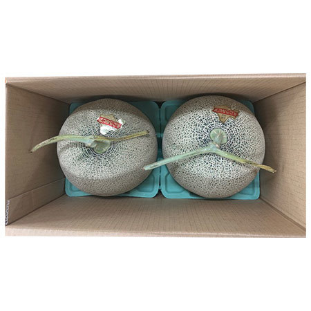 訳あり北海道赤肉メロン４キロ　８月下旬頃―９月上旬頃お届け