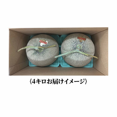 訳あり北海道赤肉メロン４キロ　７月下旬頃ー８月下旬頃お届け