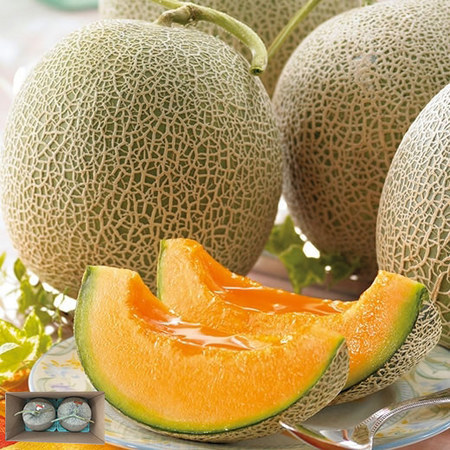 訳あり北海道赤肉メロン４キロ　７月下旬頃ー８月下旬頃お届け