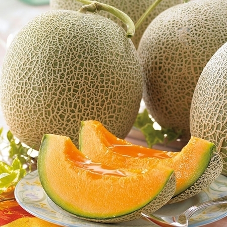 訳あり北海道赤肉メロン８キロ　７月下旬頃ー８月下旬頃お届け