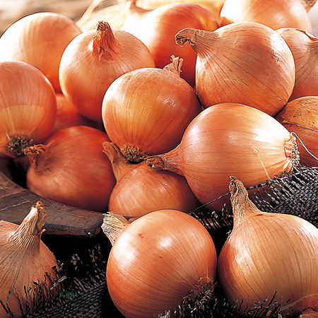 あわじ玉ねぎ（大箱）　２０２６年５月中旬頃ー６月下旬頃お届け