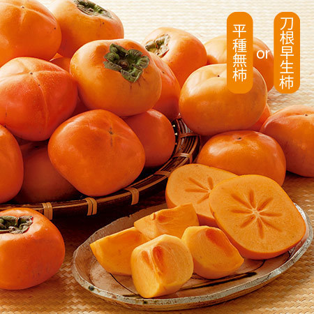 紀北の訳あり種無し柿　２３年９月下旬頃―１０月下旬頃お届け