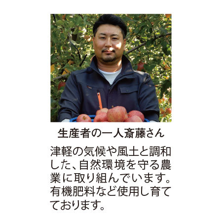 浪岡のサンふじりんご３キロ　１月中旬頃―３月下旬頃