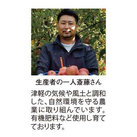 【早期】浪岡のサンふじ林檎２．７キロ　１月中旬頃ー３月下旬頃お届け