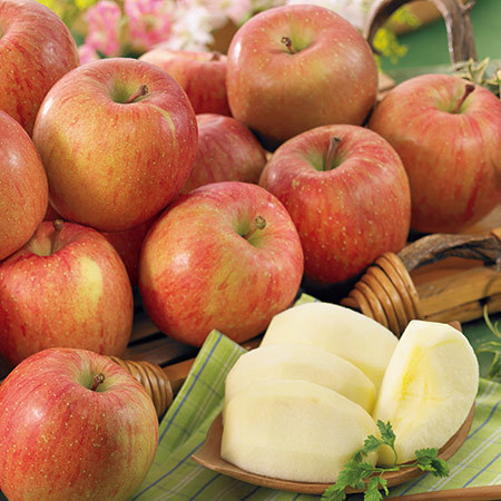 浪岡のサンふじ林檎２．７キロ　２０２６年１月中旬頃ー３月下旬頃お届け