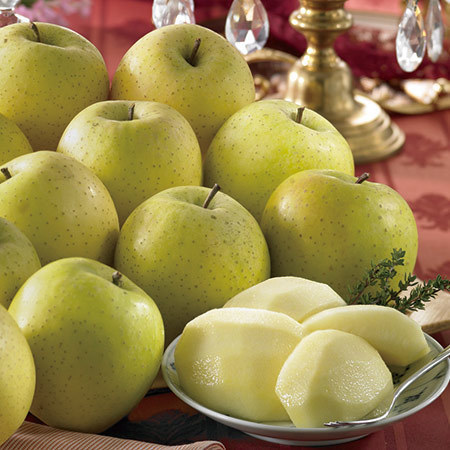 浪岡の王林２．７キロ　２０２６年１月中旬頃ー３月下旬頃お届け