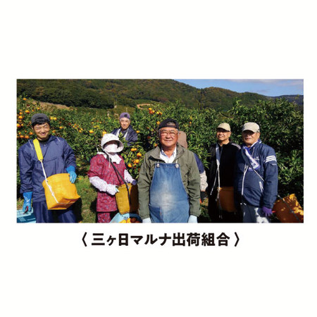 天与の味覚　プレミアムみかん　２０２６年１月中旬頃ー２月中旬頃お届け