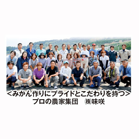 ご家庭用！味咲の不知火３キロ　２０２７年２月中旬頃ー３月下旬頃お届け